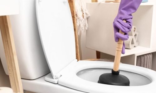 Blocked toilet issues in Denistone resolved promptly by professional plumbers